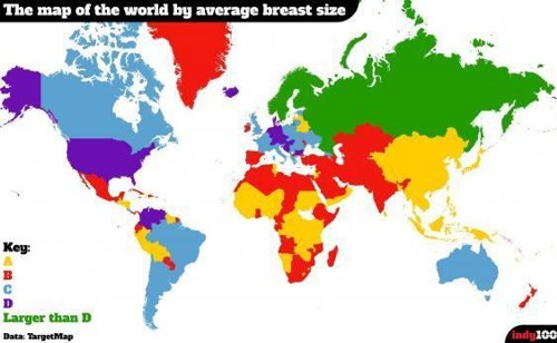 This is apparently the average cup size of New Zealand women's bra size!